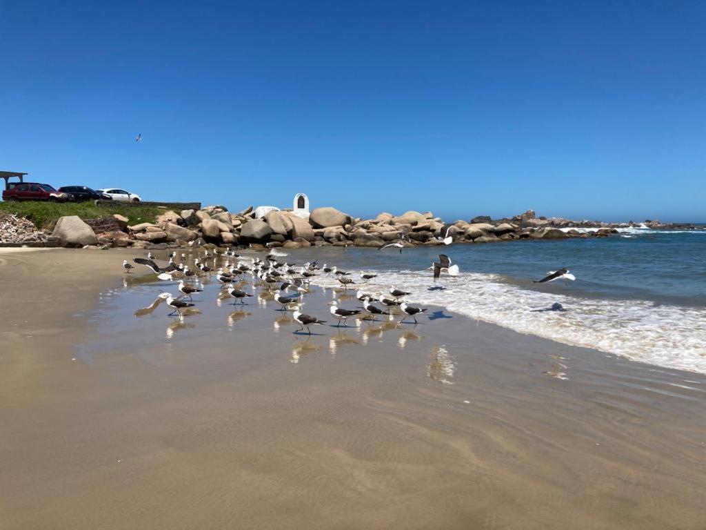 Apto Com Vista Para O Mar E O Farol - Loft 323 Laguna Eksteriør billede